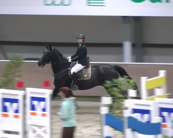 Reitturnier Gahlen 2024