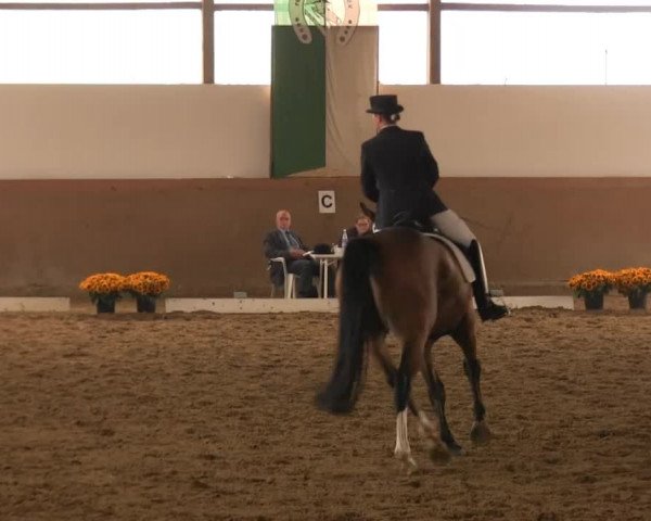 Waltroper Reitertage vom 06.-11.08.2013