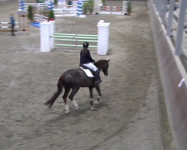 Reitturnier Gahlen 2024