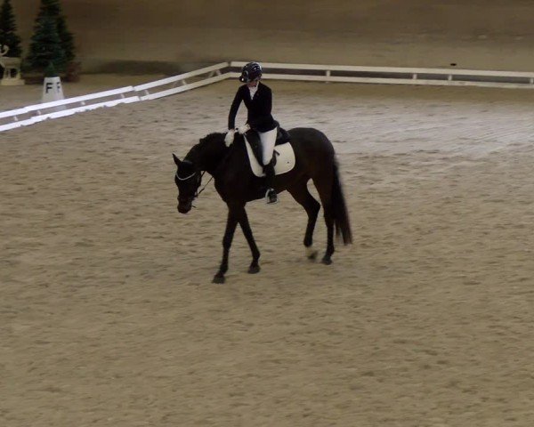 Reitturnier Schaffhausen 2024
