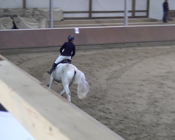 Reitturnier Gahlen 2024