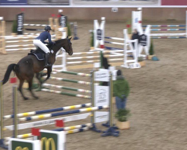 Reitturnier Bad Salzuflen 2024