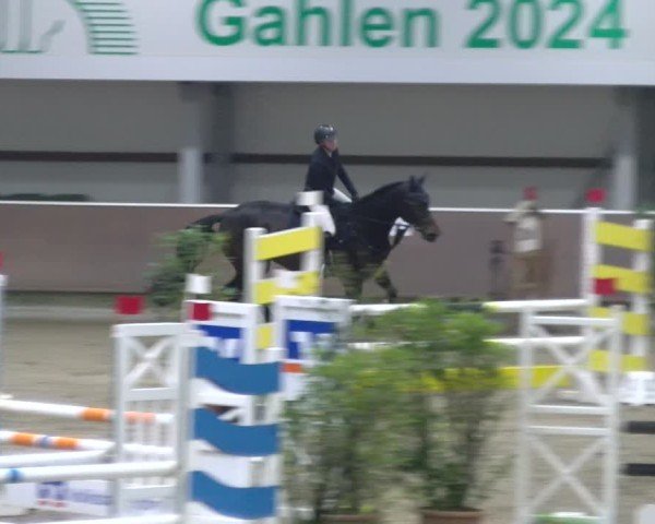 Reitturnier Gahlen 2024