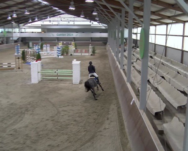 Reitturnier Gahlen 2024