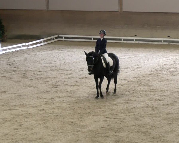 Reitturnier Schaffhausen 2024