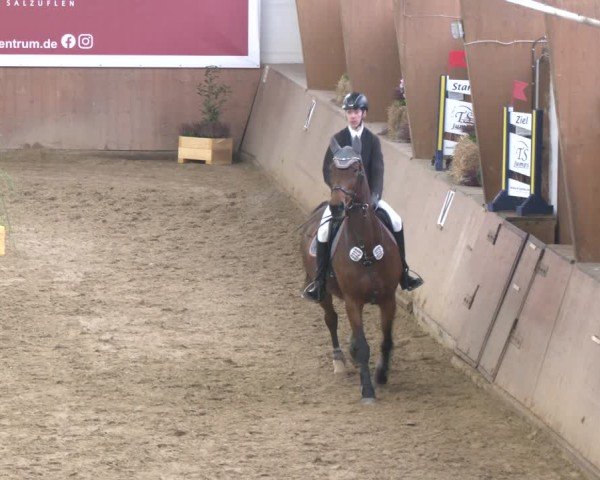 Reitturnier Bad Salzuflen 2024
