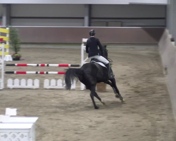 Reitturnier Gahlen 2024