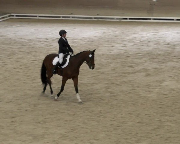 Reitturnier Schaffhausen 2024