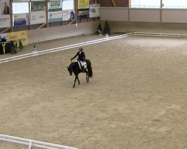 Reitturnier Schaffhausen 2024