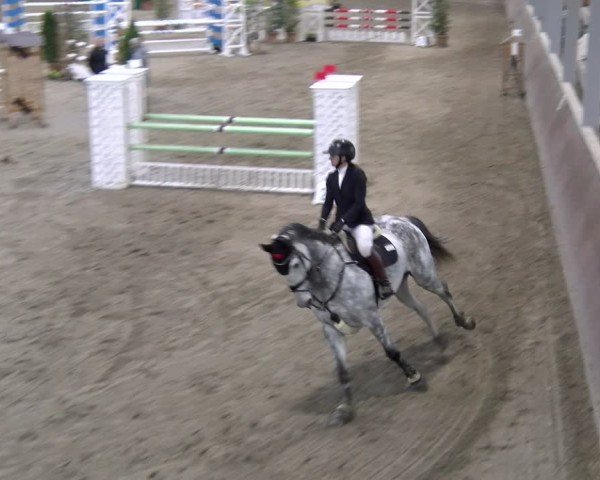 Reitturnier Gahlen 2024