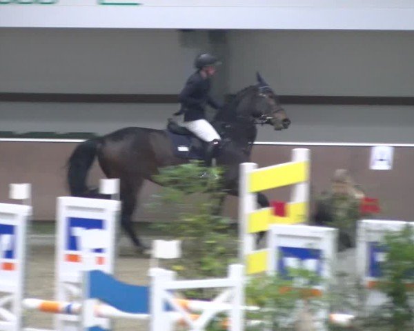 Reitturnier Gahlen 2024