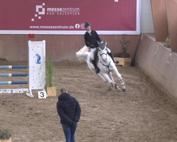 Reitturnier Bad Salzuflen 2024