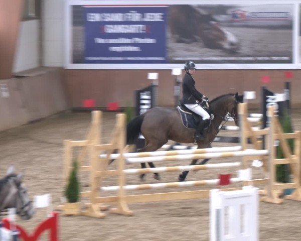 Reitturnier Bad Salzuflen 2024