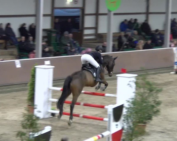 Reitturnier Gahlen 2024