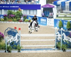 broodmare Quidamia D (Luxembourg horse, 2009, from Quidam de Revel)