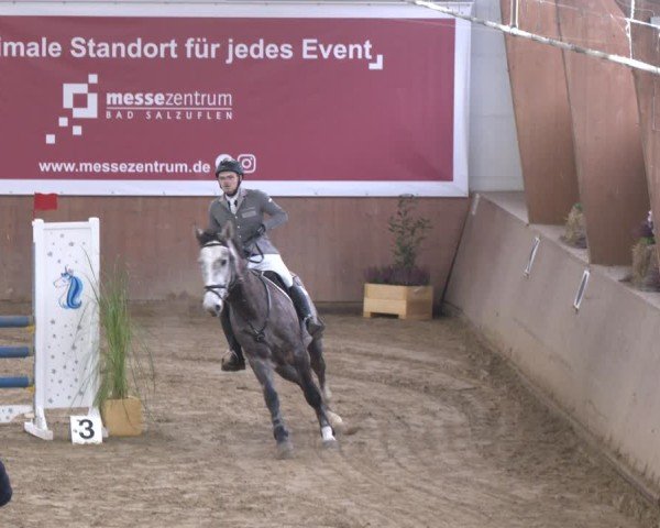 Reitturnier Bad Salzuflen 2024