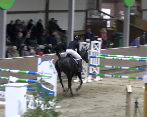 Reitturnier Gahlen 2024