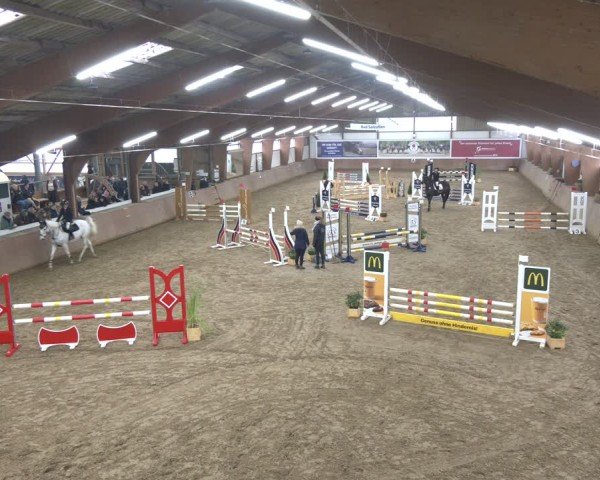 Reitturnier Bad Salzuflen 2024