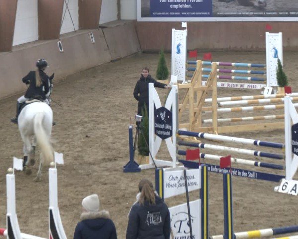 Reitturnier Bad Salzuflen 2024