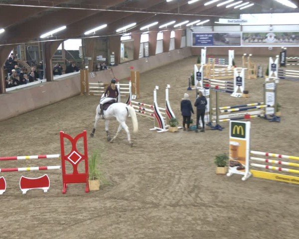 Reitturnier Bad Salzuflen 2024