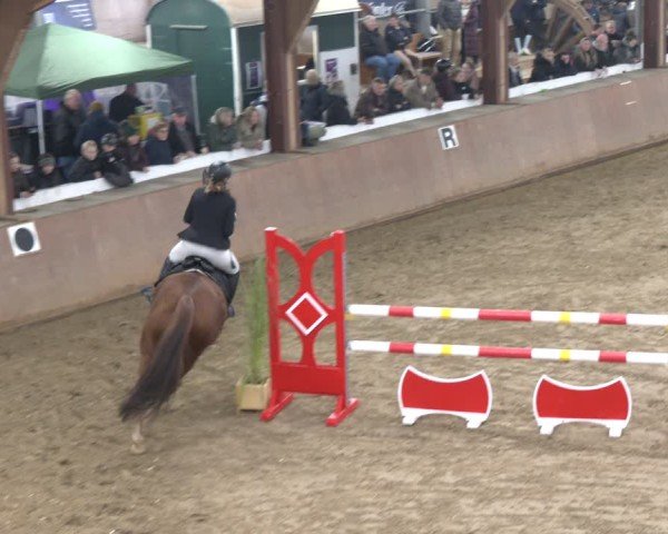 Reitturnier Bad Salzuflen 2024