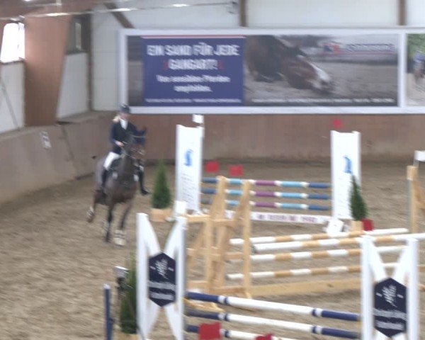 Reitturnier Bad Salzuflen 2024