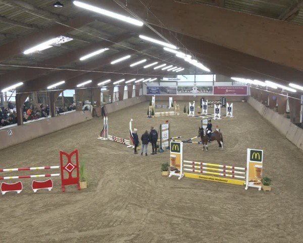 Reitturnier Bad Salzuflen 2024