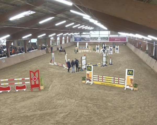 Reitturnier Bad Salzuflen 2024