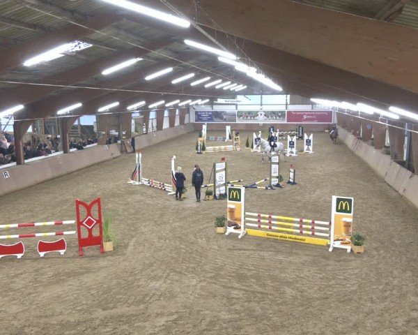 Reitturnier Bad Salzuflen 2024