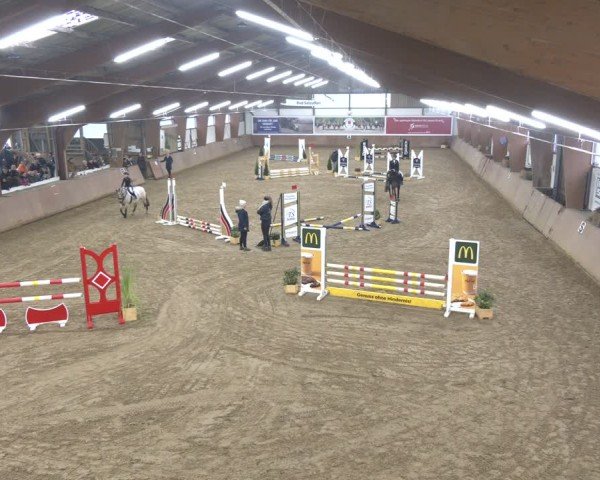 Reitturnier Bad Salzuflen 2024