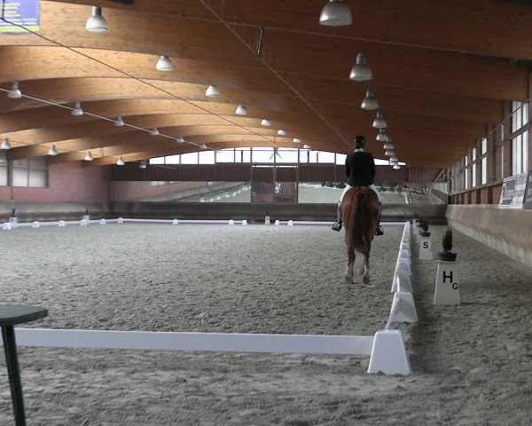 Reitturnier Tremsdorf, Eichenhof 2024