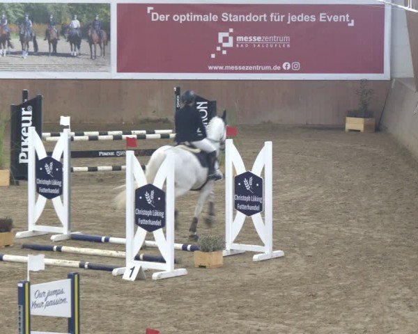 Reitturnier Bad Salzuflen 2024