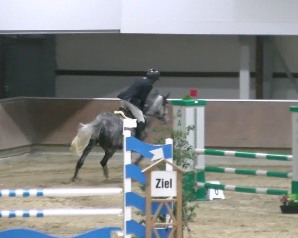 Reitturnier Gahlen 2024