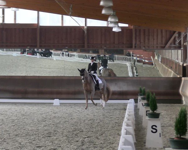 Reitturnier Tremsdorf, Eichenhof 2024