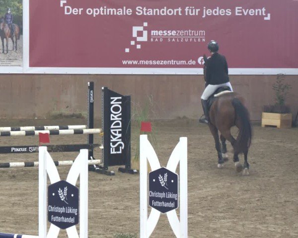 Reitturnier Bad Salzuflen 2024