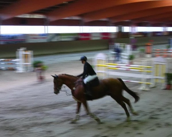 Reitturnier Klein-Partwitz 2021