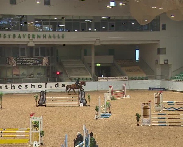 Reitturnier Kreuth/Opf. 2024