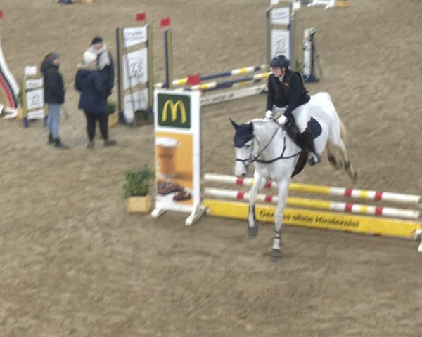 Reitturnier Bad Salzuflen 2024