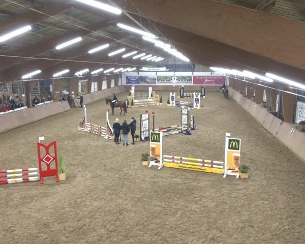 Reitturnier Bad Salzuflen 2024