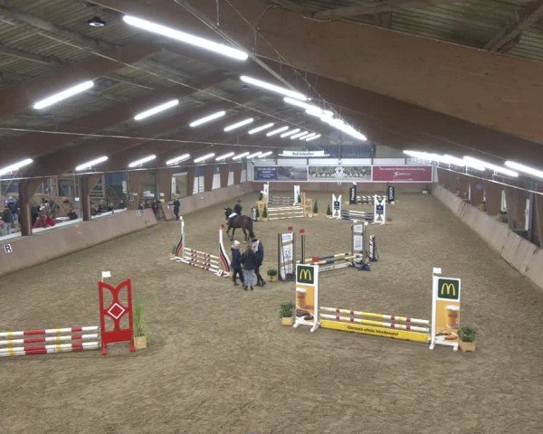 Reitturnier Bad Salzuflen 2024