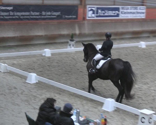 Reitturnier Tremsdorf, Eichenhof 2024
