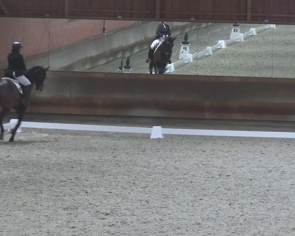 Reitturnier Tremsdorf, Eichenhof 2024