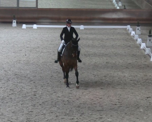 Reitturnier Tremsdorf, Eichenhof 2024