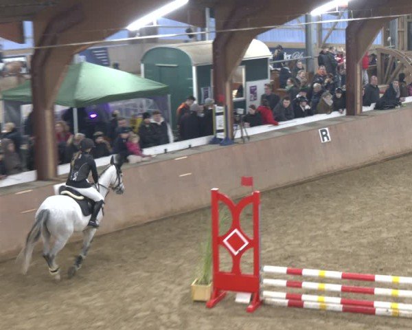 Reitturnier Bad Salzuflen 2024