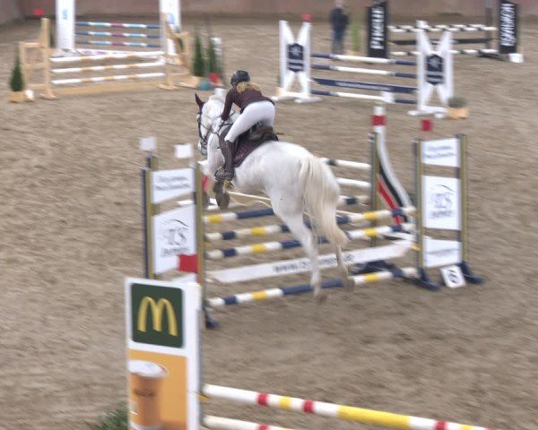 Reitturnier Bad Salzuflen 2024