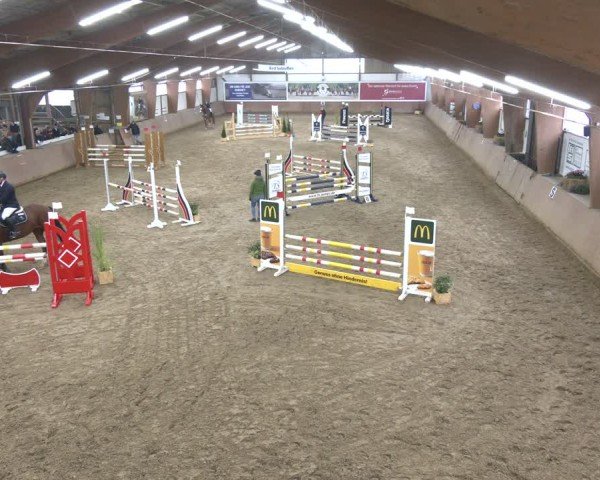 Reitturnier Bad Salzuflen 2024