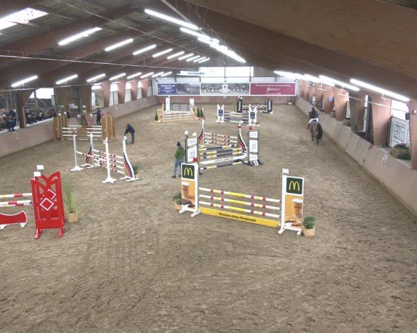 Reitturnier Bad Salzuflen 2024