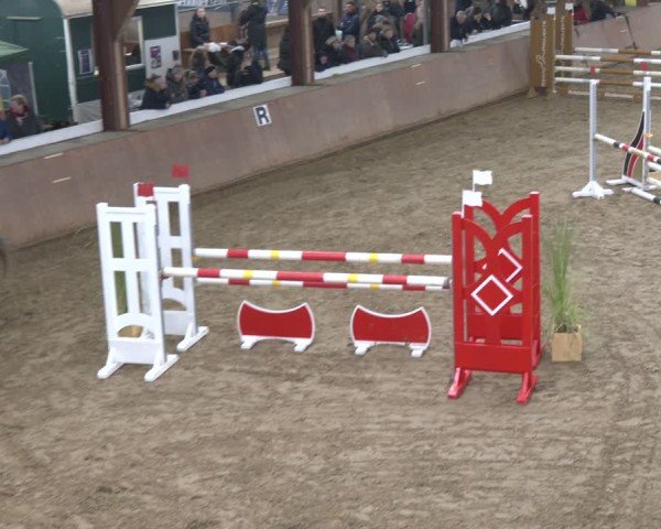 Reitturnier Bad Salzuflen 2024