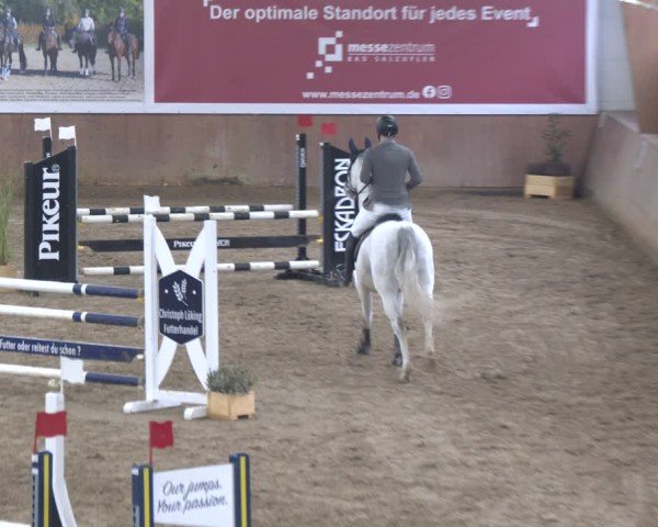 Reitturnier Bad Salzuflen 2024