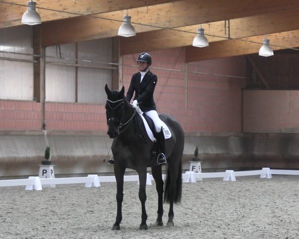 Reitturnier Tremsdorf, Eichenhof 2024